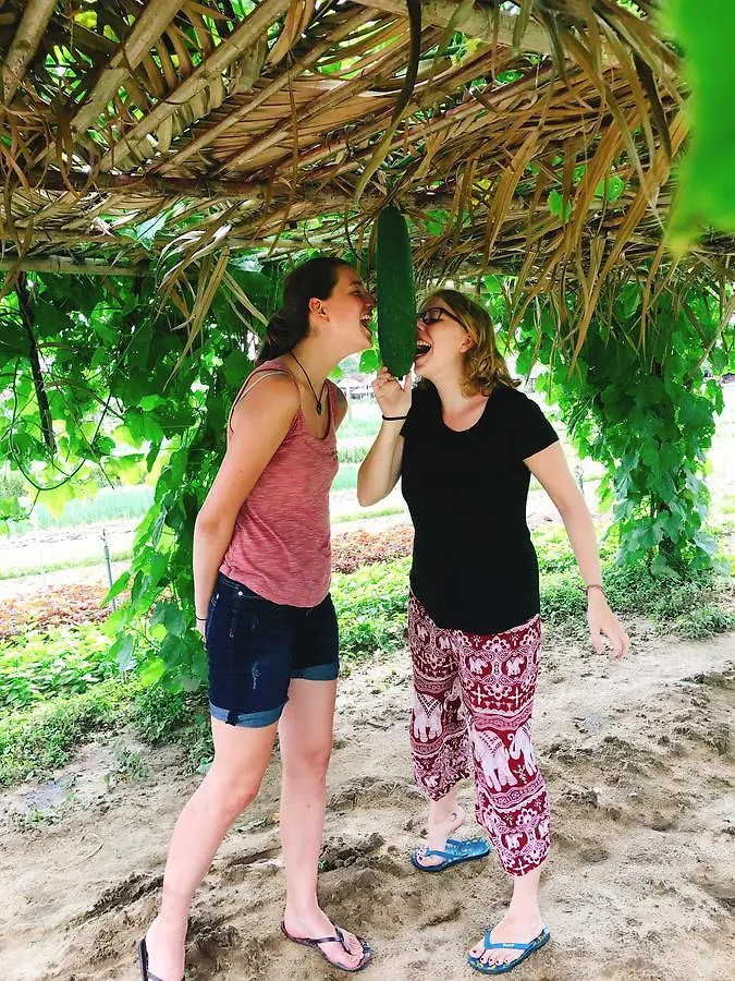 Nature Homestay Hoi An